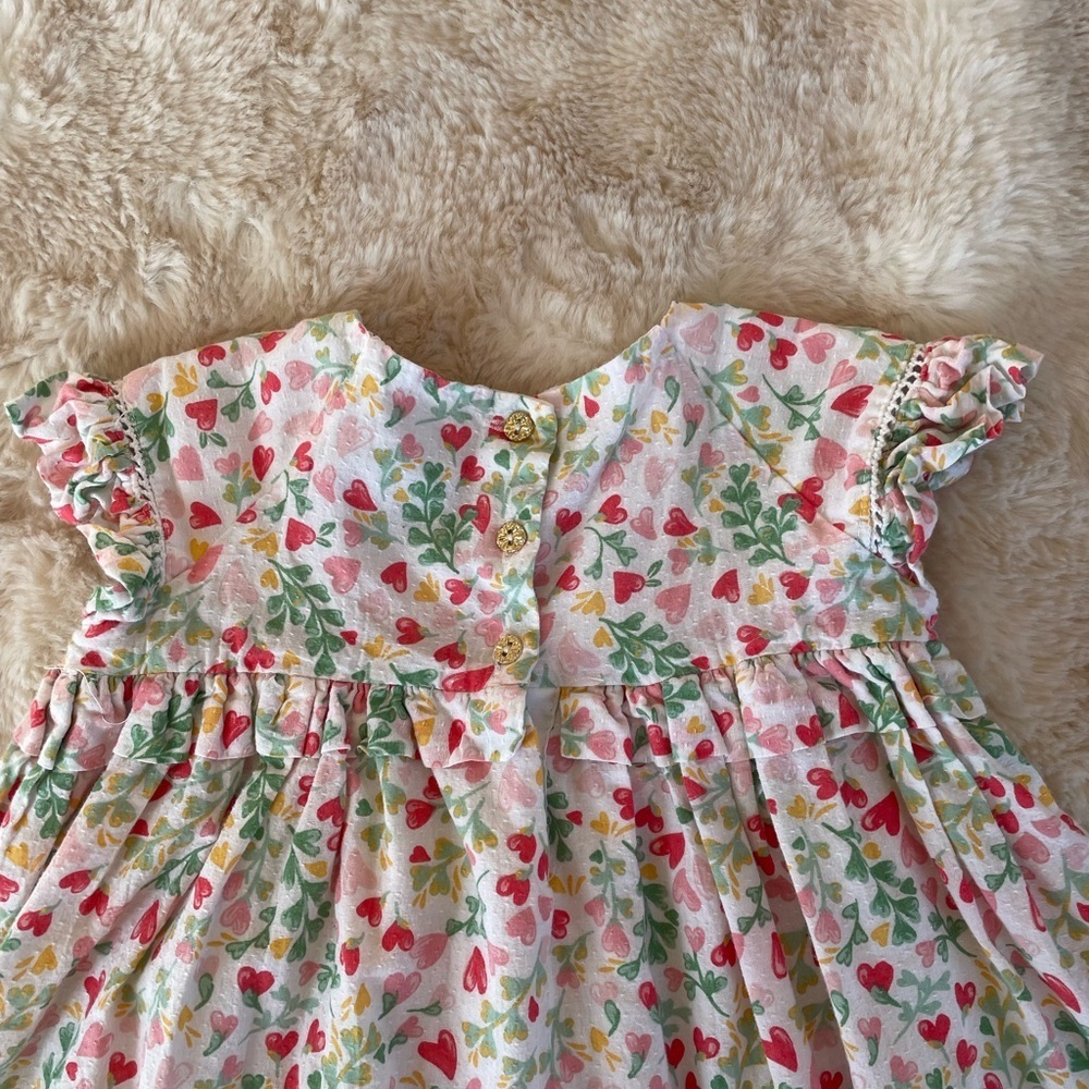 Rachel Zoe Multicolor Floral Baby Dress - Picture 8 of 10